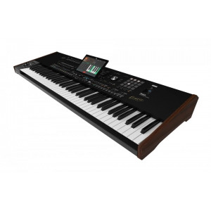 KORG Pa5X 61 ORIENTAL Professional Arranger