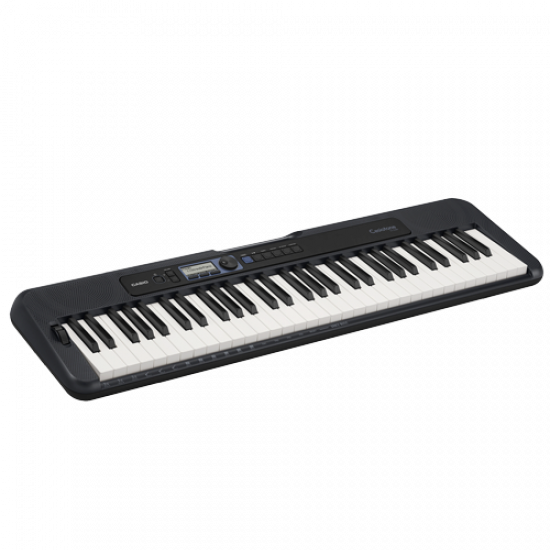 CASIO CT-S300