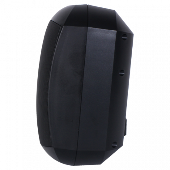 Тонколона за стена HED Audio WS-602 MAS PBL (LT WTP-660B) 10/20/40W