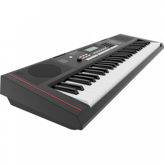 Аранжор Roland E-X10