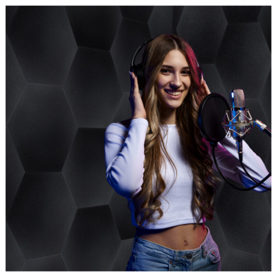 Шумоизолиращ панел DNA AM3 BK acoustic panel