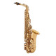 Алт саксофон V-TONE AS 100 alto saxophone with cover set