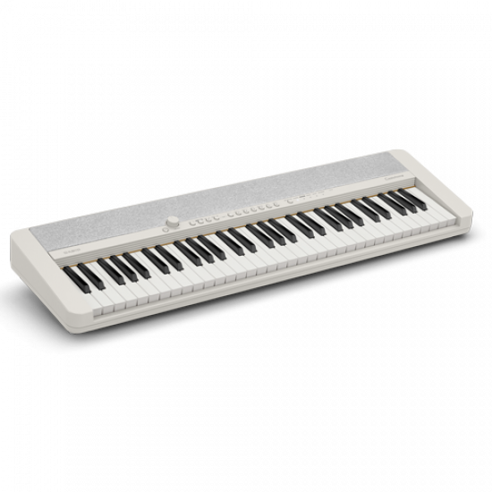 Синтезатор CASIO CT-S1 WE