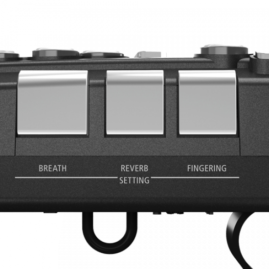 Аерофон Roland AEROPHONE::GO - AE-05