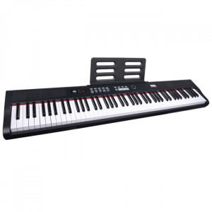 DNA PP 88 digital piano full size learning keyboard DNA PP 88 digital piano full size learning keyboard