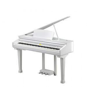 KURZWEIL KAG100 KURZWEIL KAG100