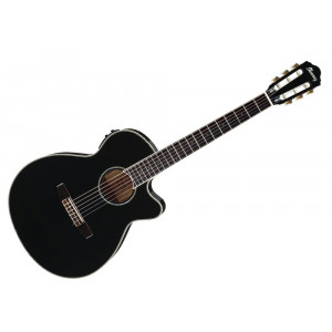 Ibanez AEG10NII-BK Ibanez AEG10NII-BK
