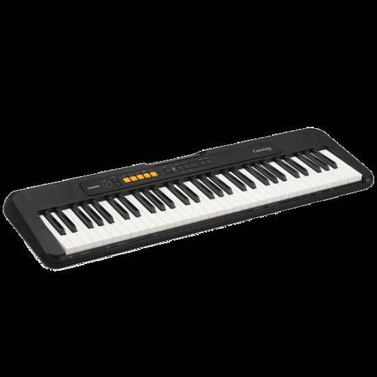 CASIO CT-S100