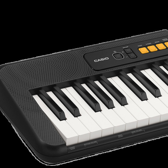 CASIO CT-S100