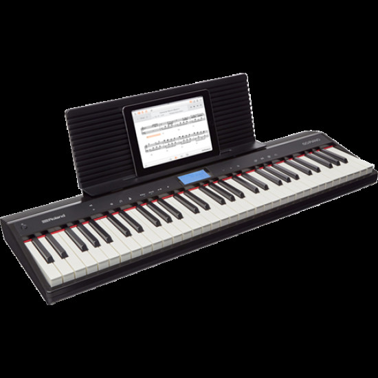 Roland GO-61P