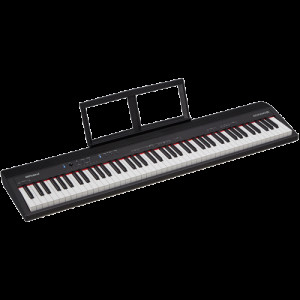 Roland GO-88P Roland GO-88P