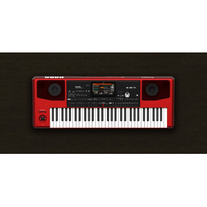 Аранжор Korg PA700 RD Professional Arranger Аранжор Korg PA700 RD Professional Arranger