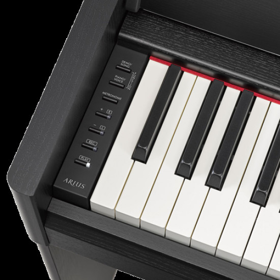 YAMAHA DIGITAL PIANOS YDP-S55 Black