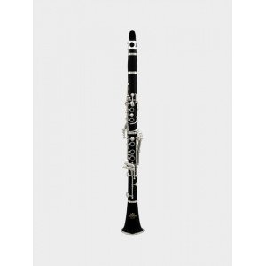 Roy Benson Bb clarinet CB-318 Student pro series