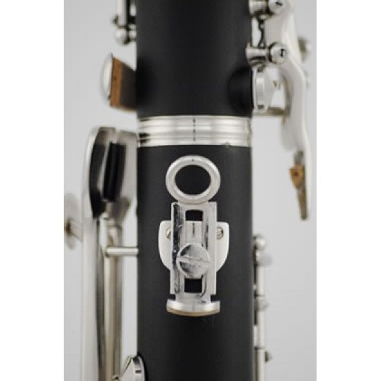 Roy Benson Bb clarinet CG-220-Student pro series