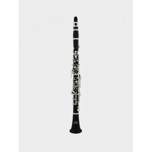 Roy Benson Bb clarinet CG-220-Student pro series