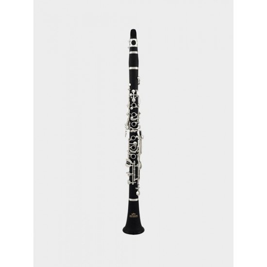 Roy Benson Bb clarinet CG-220-Student pro series