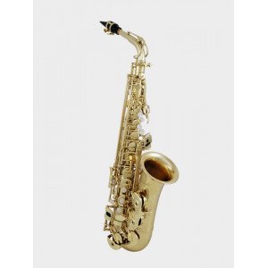 Roy Benson AS-302 Pro Series