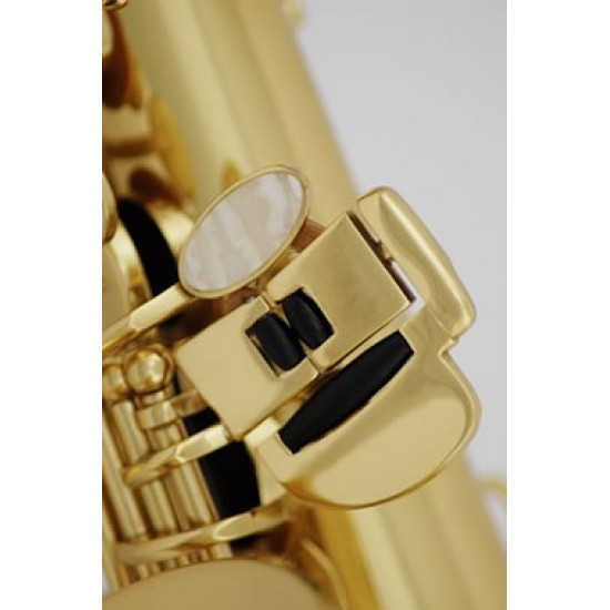 Roy Benson AS-202  Brass  body, brass key