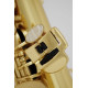 Roy Benson AS-202  Brass  body, brass key