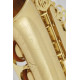 Roy Benson AS-202  Brass  body, brass key