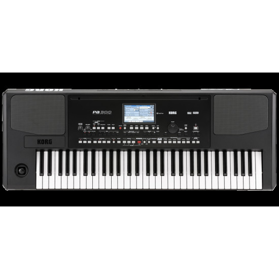 KORG PA-300