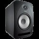 TANNOY REVEAL 802