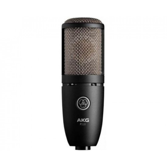 AKG Perception P220