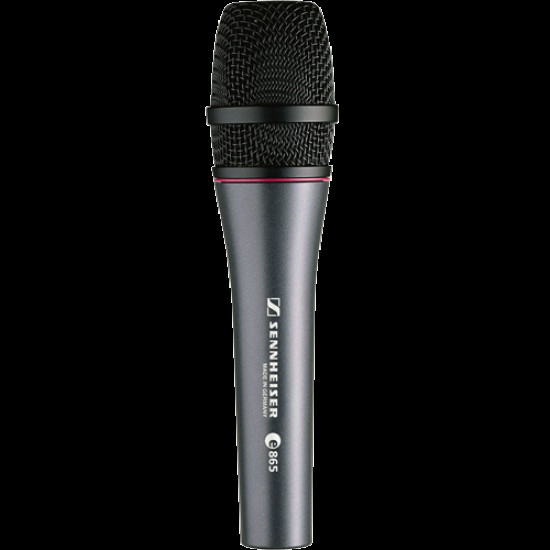 SENNHEISER Pro Audio e 865