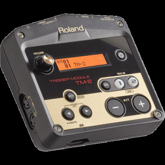 Roland TM-2