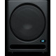 PreSonus Temblor T10